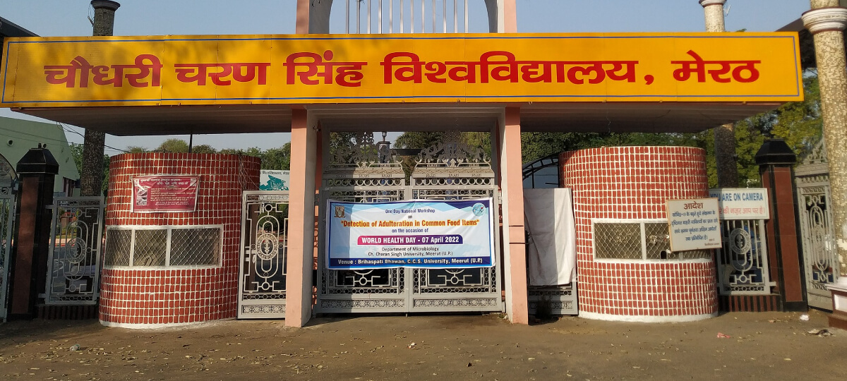  University Campus